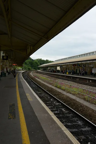 DSC_2528 (Large).JPG